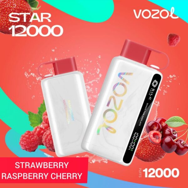 Vozol Star 12000 Puffs Disposable Vape Blueberry-Raspberry-Cherry at VapeZoneDXB