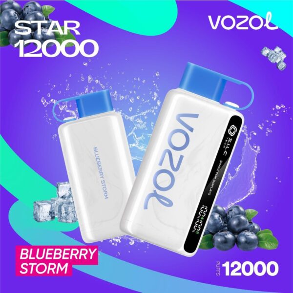 Vozol Star 12000 Puffs Disposable Vape Blueberry-Raspberry-Cherry at VapeZoneDXB