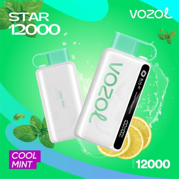 Vozol Star 12000 Puffs Disposable Vape Blueberry-Raspberry-Cherry at VapeZoneDXB