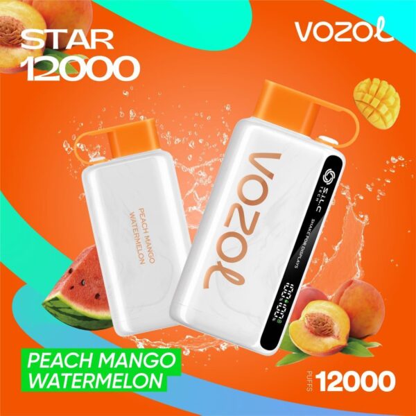 Vozol Star 12000 Puffs Disposable Vape Blueberry-Raspberry-Cherry at VapeZoneDXB