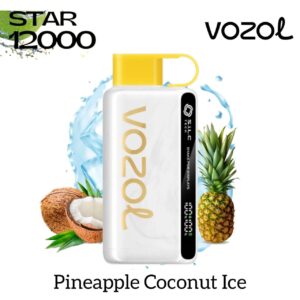 Vozol Star 12000 Puffs Disposable Vape Blueberry-Raspberry-Cherry at VapeZoneDXB