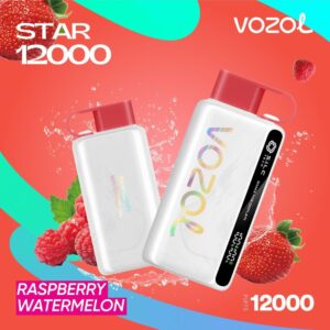 Vozol Star 12000 Puffs Disposable Vape Blueberry-Raspberry-Cherry at VapeZoneDXB