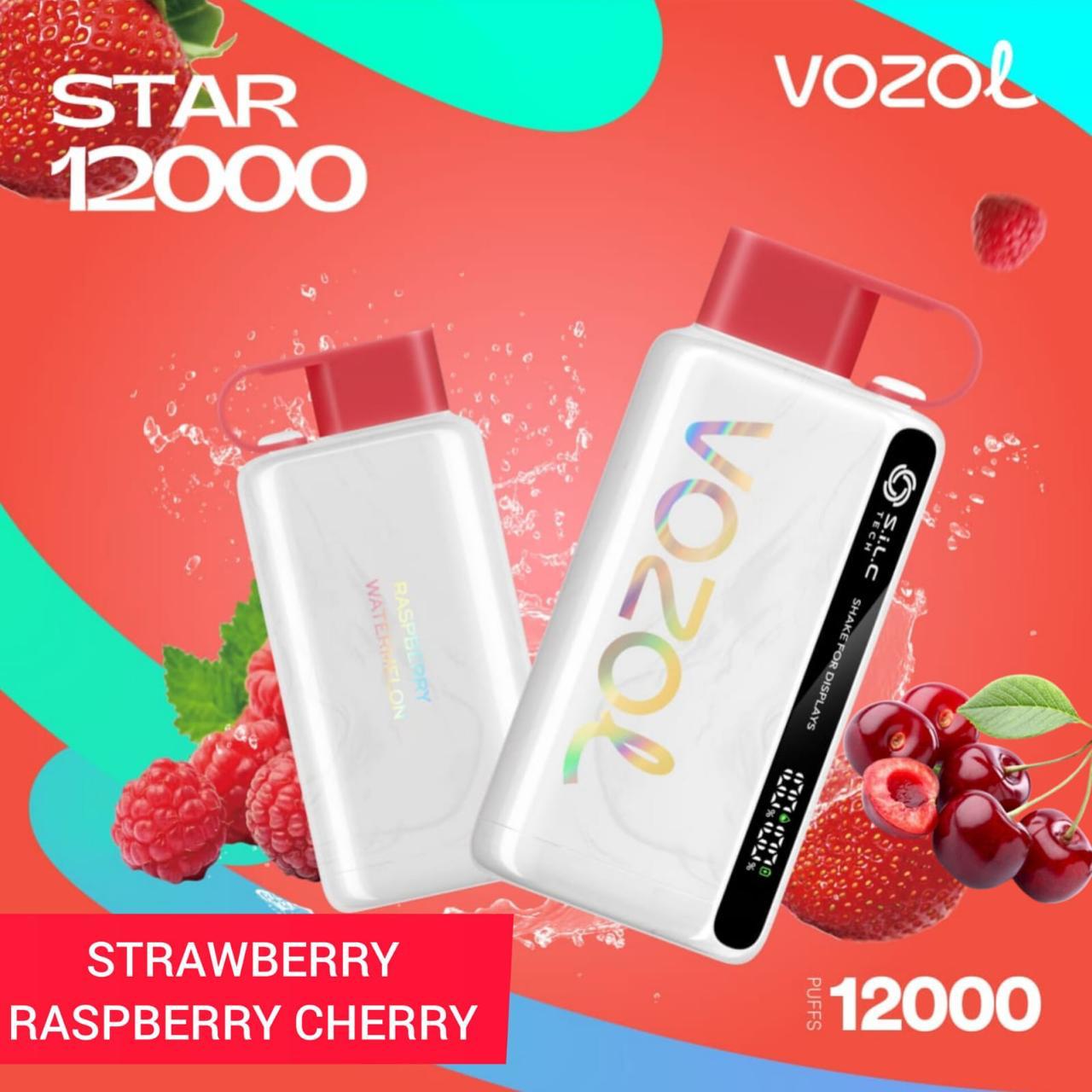 Vozol Star 12000 PUFFS Blueberry Raspberry Cherry Disposable Vape Dubai