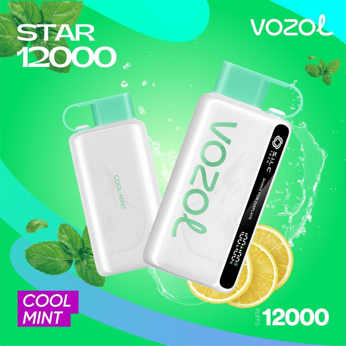 Vozol Star 12000 PUFFS Cool Mint Disposable Vape Dubai