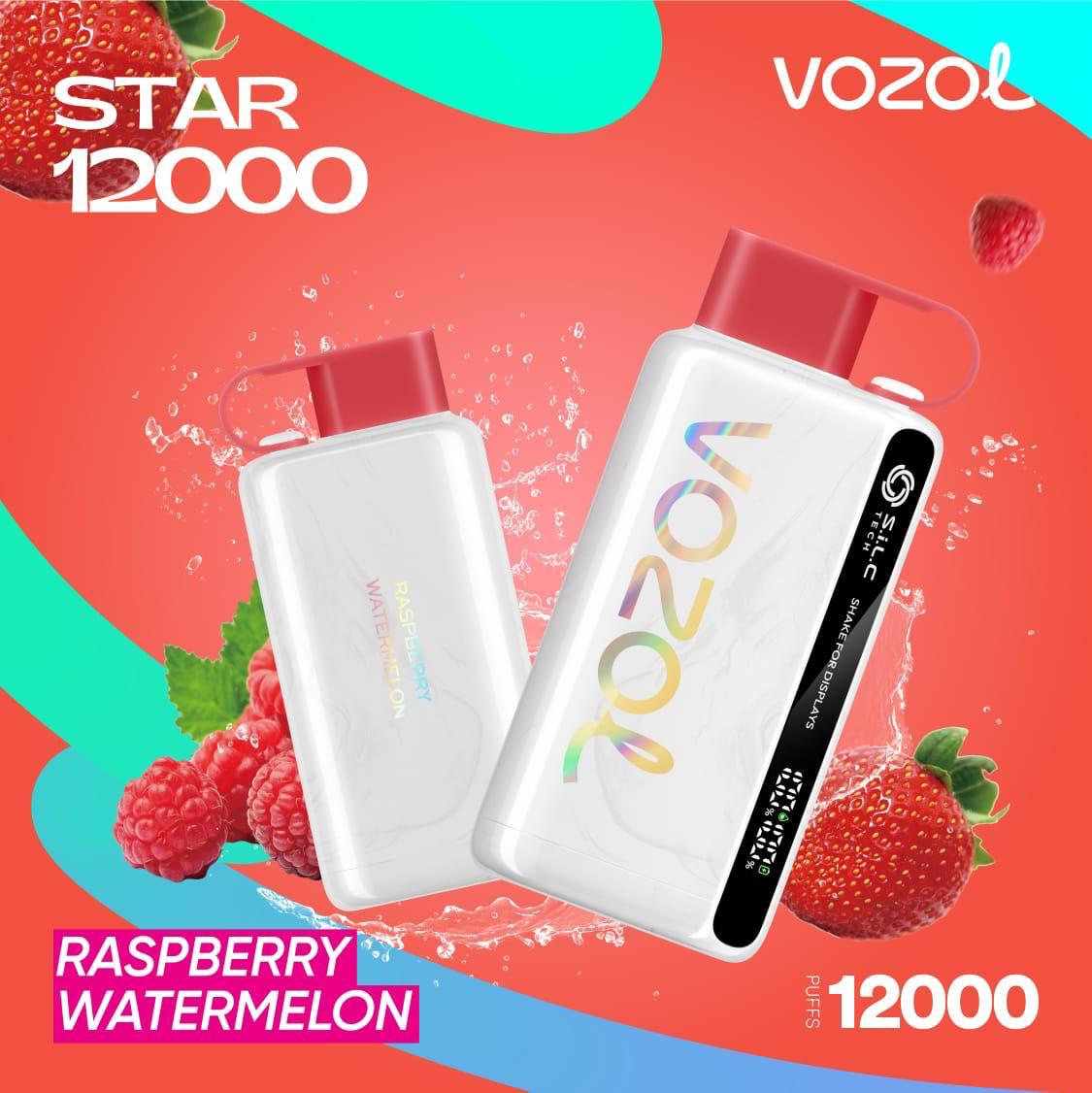 Vozol Star 12000 PUFFS Raspberry Watermelon Disposable Vape Dubai