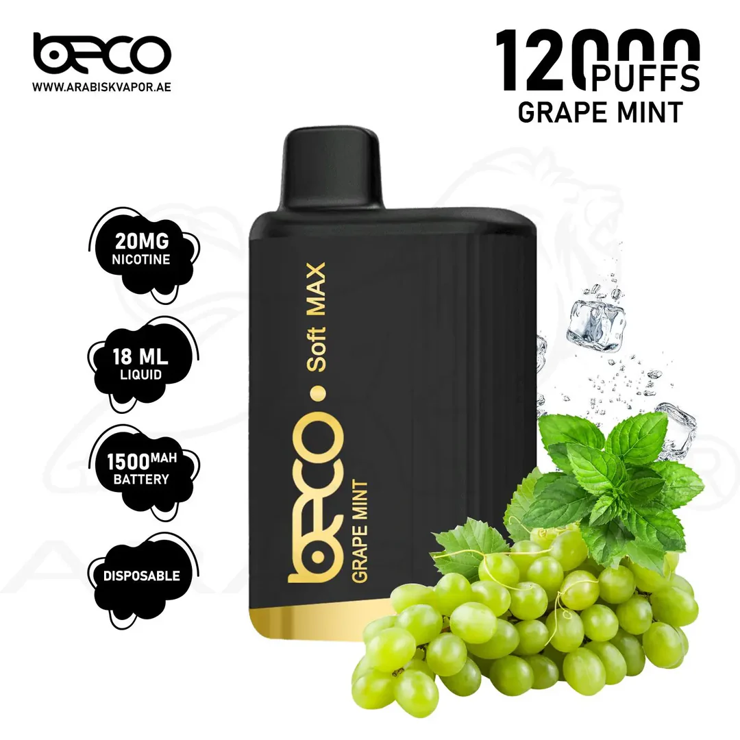 BECO SOFT MAX 12000 PUFFS Grape Mint Disposable Vape Dubai