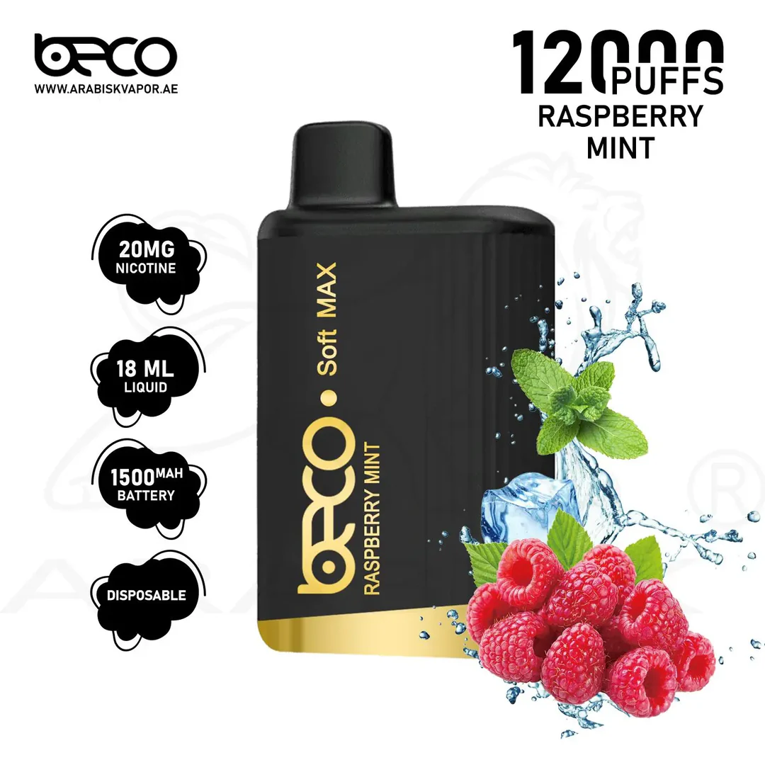 BECO SOFT MAX 12000 PUFFS Raspberry Mint Disposable Vape Dubai